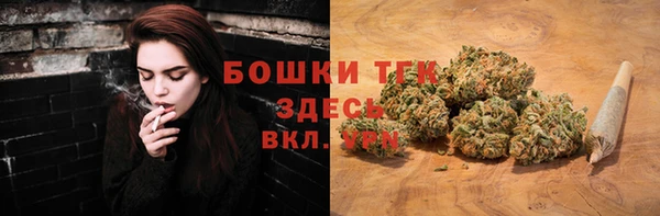 амф Липки
