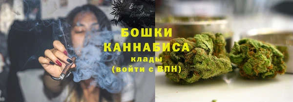 амф Липки